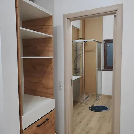 Appartement Voievozilor