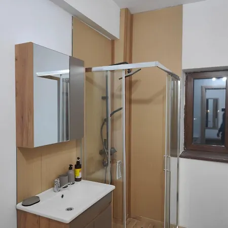 Voievozilor Apartment Constanţa